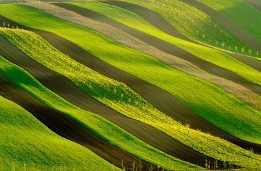 South Moravia'deki / daki yeşil dalgalı tepeler