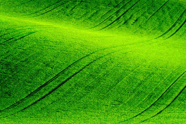 Zielone wzgórza faliste, na południowych Morawach — Zdjęcie stockowe