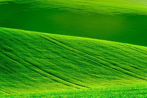 Colinas onduladas verdes na Morávia do Sul — Fotografia de Stock