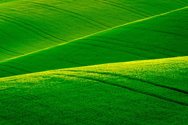 Groene golvende heuvels in Zuid-Moravië — Stockfoto