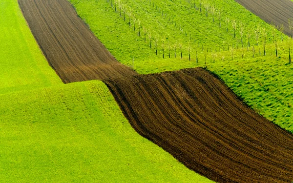 Colinas onduladas verdes na Morávia do Sul — Fotografia de Stock