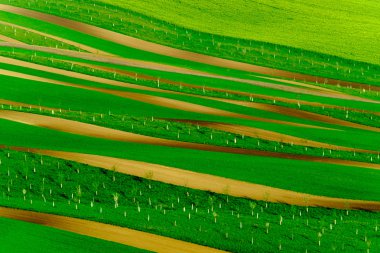 South Moravia'deki / daki yeşil dalgalı tepeler