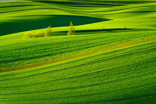 Colinas onduladas verdes na Morávia do Sul — Fotografia de Stock