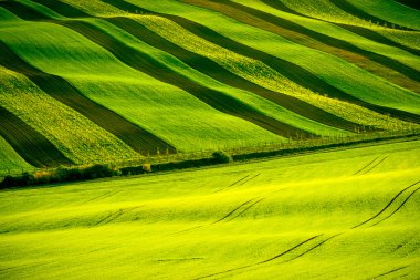 South Moravia'deki / daki yeşil dalgalı tepeler