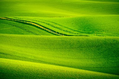 South Moravia'deki / daki yeşil dalgalı tepeler
