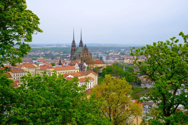 Brno dag tijd oude stad landschap — Stockfoto