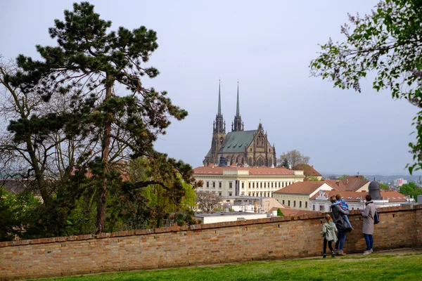 Brno gün zaman eski şehir manzarası — Stok fotoğraf