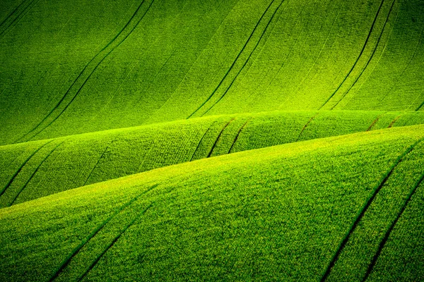 Colinas onduladas verdes na Morávia do Sul — Fotografia de Stock