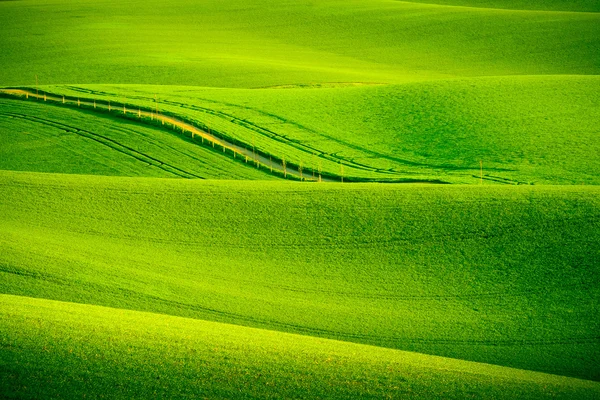 Verdi colline ondulate nella Moravia meridionale — Foto Stock