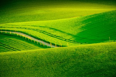 South Moravia'deki / daki yeşil dalgalı tepeler
