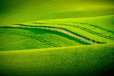 South Moravia'deki / daki yeşil dalgalı tepeler