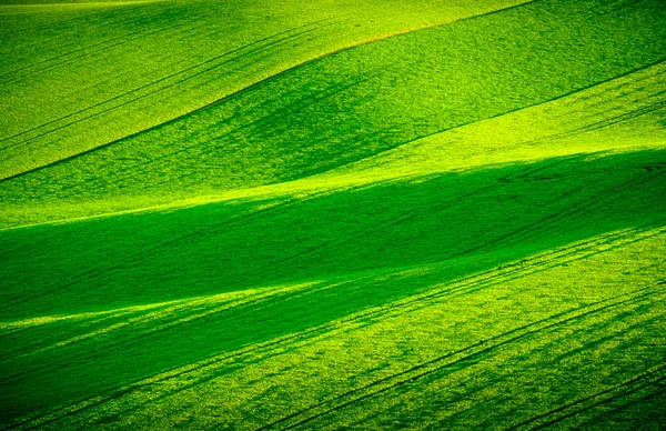 Groene golvende heuvels in Zuid-Moravië — Stockfoto