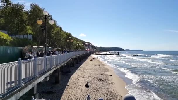 Svetlogorsk, Rusya'nın Baltık Denizi boyunca üzerinde yürüyen turist — Stok video