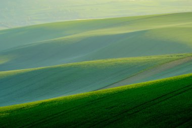 South Moravia'deki / daki yeşil dalgalı tepeler