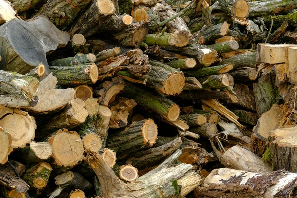 Firewood in stack — Stock Photo, Image