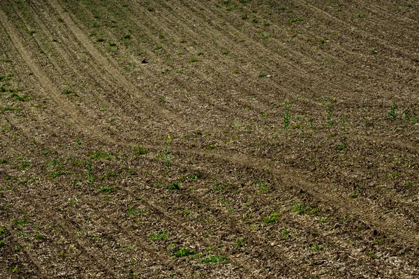 Gepflügtes Feld auf dem Land — Stockfoto