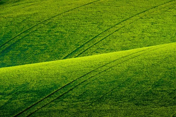 Green wavy hills in South Moravia — Stock Photo, Image