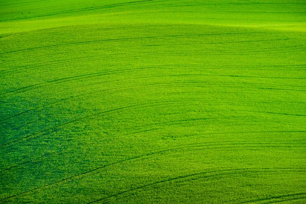 南モラヴィア州の緑の波状丘陵 — ストック写真