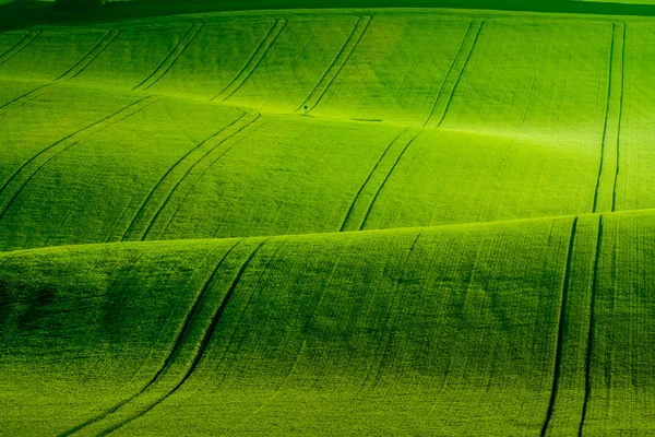 South Moravia'deki / daki yeşil dalgalı tepeler — Stok fotoğraf