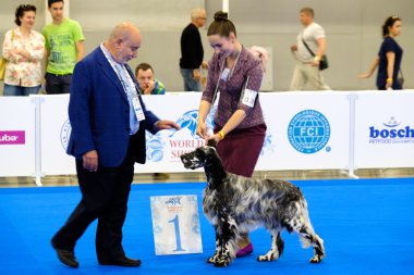 Yargıç muayene köpek dünya köpek Show