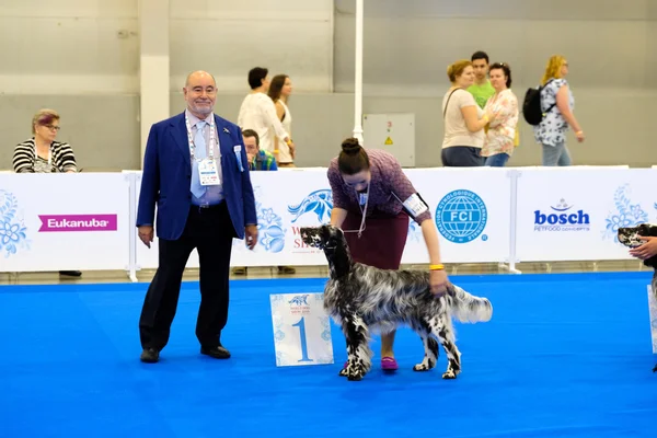 Účastníci v ringu na World Dog Show — Stock fotografie