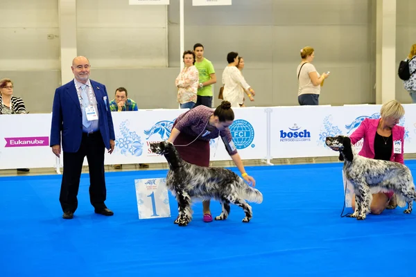 Participants au ring du Salon Mondial du Chien — Photo