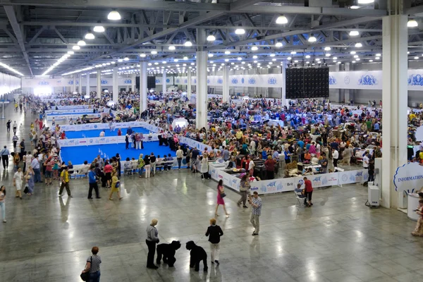 La gente asiste al World Dog Show — Foto de Stock