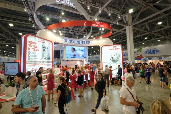 Les gens assistent au Salon mondial du chien — Photo