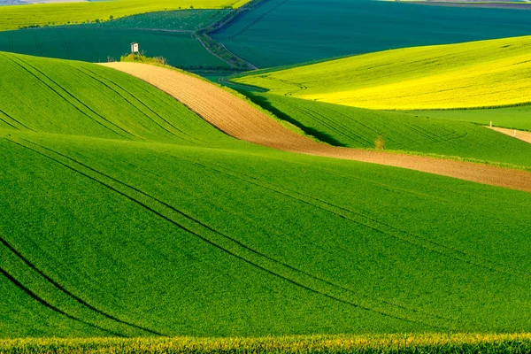 Prados ondulados paisaje de primavera en Moravia del Sur —  Fotos de Stock