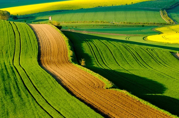 Prati ondulati paesaggio primaverile nella Moravia meridionale — Foto Stock