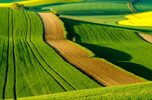 Prados ondulados paisaje de primavera en Moravia del Sur — Foto de Stock