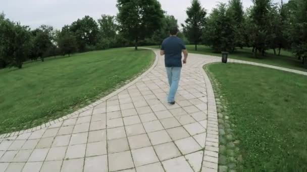 Hombre caminando en el parque con smartphone — Vídeo de stock