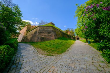 Spilberk kale Kulesi Manzaralı