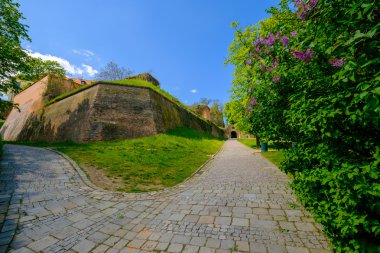 Spilberk kale Kulesi Manzaralı
