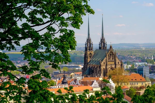 Kathedraal van de Heiligen Petrus en Paulus — Stockfoto