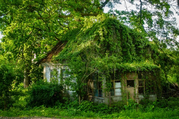 Fachada da casa crescida no campo — Fotografia de Stock
