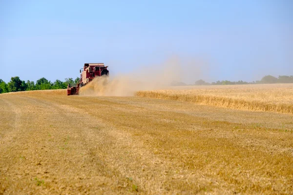 Harvester gathers the wheat crop — Stock Photo, Image