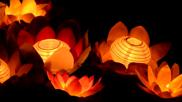 Linternas flotantes de papel de flor de loto en el agua — Vídeos de Stock