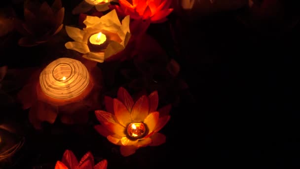 Linternas flotantes de papel de flor de loto en el agua — Vídeos de Stock