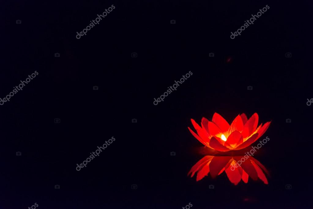 lotus flower lantern