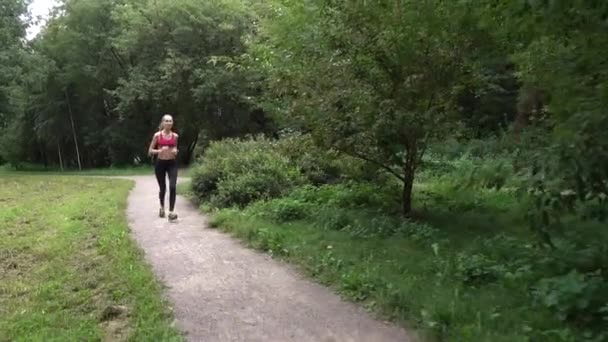 公園をジョギングしている若い女性が — ストック動画