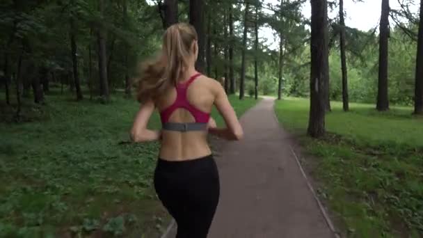 Jovem mulher correndo no parque — Vídeo de Stock