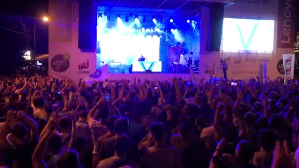 Толпа фанатов, аплодирующих на фестивале под открытым небом — стоковое видео
