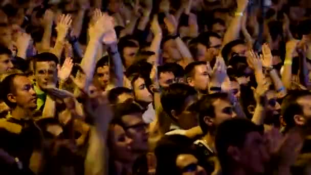 Multitud de fans animando en el festival al aire libre en vivo — Vídeo de stock