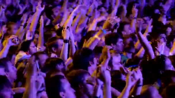 Crowd of fans cheering at open air live festival — Stock Video