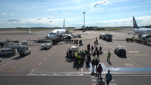 Embarque de passageiros na aeronave da companhia aérea de baixo custo Ryanair — Vídeo de Stock