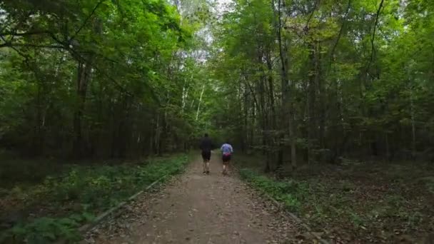 숲 속을 뛰어다니는 알아볼 수없는 조깅꾼들 — 비디오