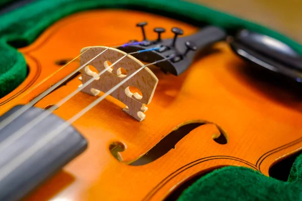 Classic violin on open box — Stock Photo, Image
