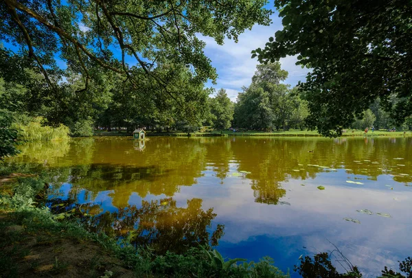 Klidný rybník v zeleném letním parku — Stock fotografie