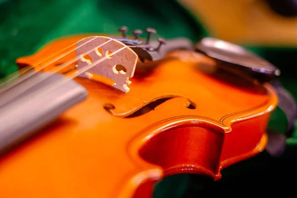 Classic violin on open box — Stock Photo, Image